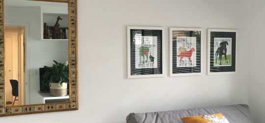 Picture Hanging Tips for Small Spaces and Apartments